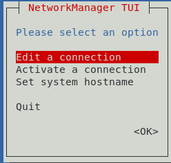 그림은 연결 편집, 연결 활성화 또는 시스템 호스트 이름 설정을 선택할 수 있는 NetworkManager TUI 일반 메뉴를 보여줍니다.